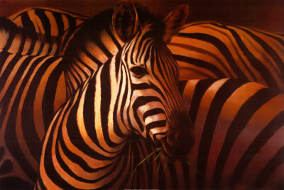 Zebra Grande Print Zebra Grande Print
