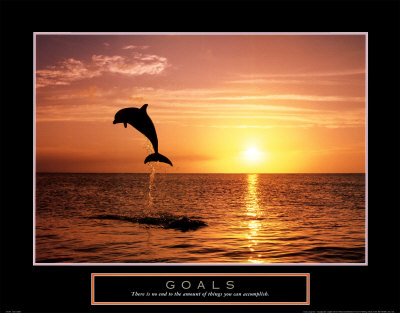 Goals: Dolphins Print by Craig