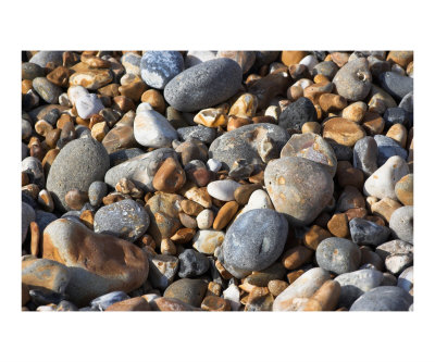 Shingle beach Photographic Print Shingle beach Photographic Print
