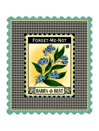 Forget Me Not Flower Giclee Print Forget Me Not Flower Giclee Print