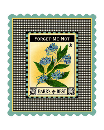 Forget Me Not Flower Giclee Print Forget Me Not Flower Giclee Print