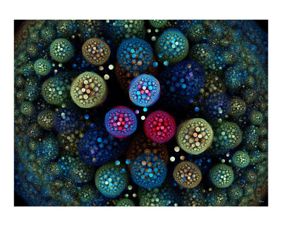 Microbial Photographic Print Microbial Photographic Print