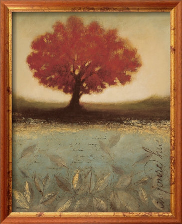 Today Framed Print Today Framed Print