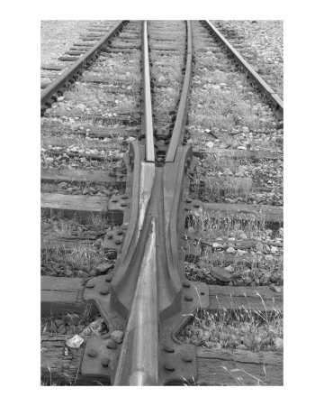 Which Way Photographic Print Which Way Photographic Print