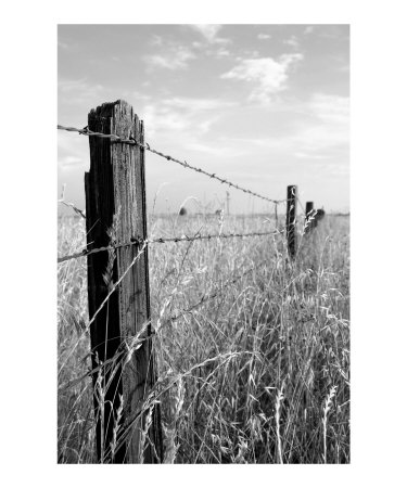 Old Fence Photographic Print Old Fence Photographic Print