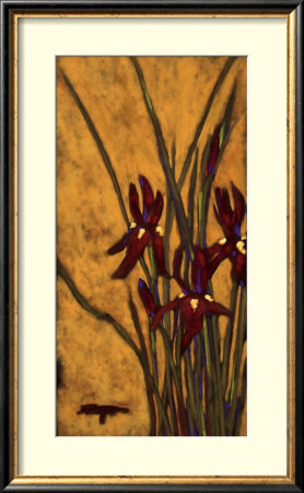 Until I Find You I Framed Print Until I Find You I Framed Print