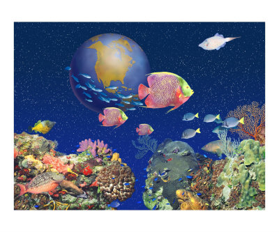 diplay fish Photographic Print diplay fish Photographic Print