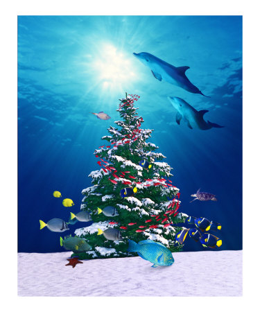 x-tree dive Photographic Print x-tree dive Photographic Print
