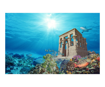egypt moris idals Photographic Print egypt moris idals Photographic Print