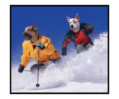 dog gone skiers Photographic Print dog gone skiers Photographic Print