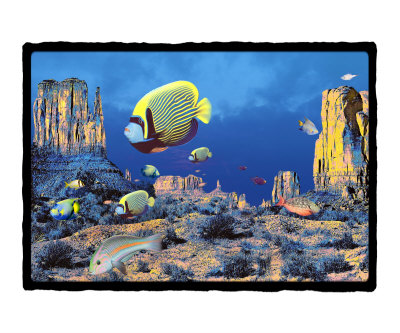 valley fish Photographic Print valley fish Photographic Print