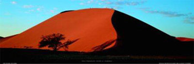 Dune 45 - Namibia Print Dune 45 - Namibia Print