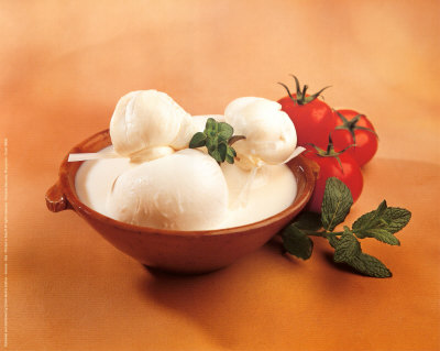 Mozzarella Print Mozzarella Print