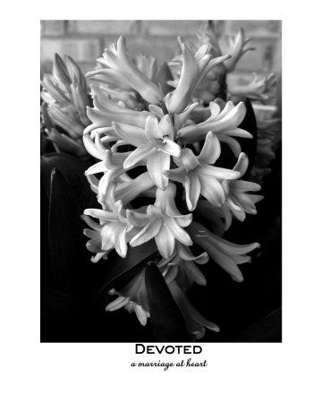 Devoted Photographic Print Devoted Photographic Print