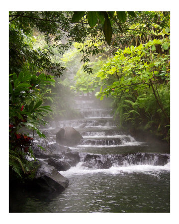 Tabacon Hot Springs Photographic Print Tabacon Hot Springs Photographic Print