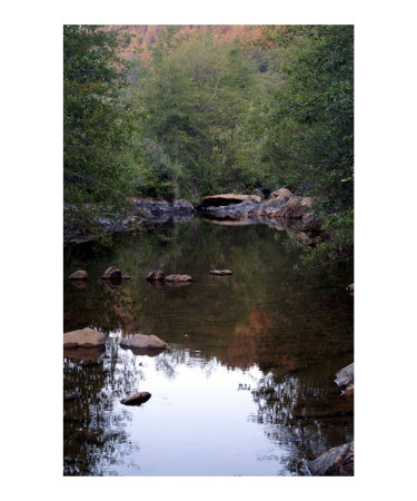 Bear River Photographic Print Bear River Photographic Print
