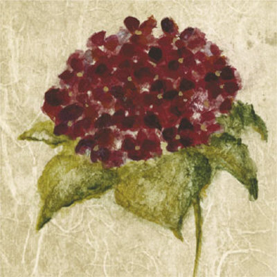 Maroon Flower Print Maroon Flower Print