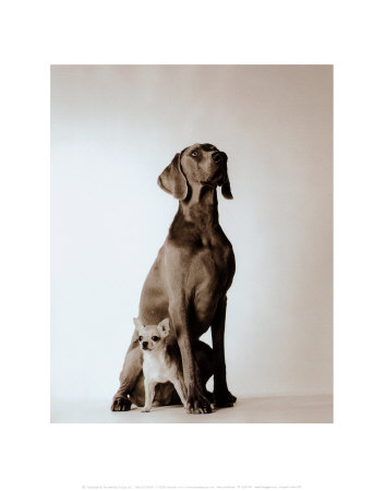 Max and Roxie Print Max and Roxie Print