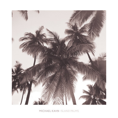 Island Palms Print Island Palms Print