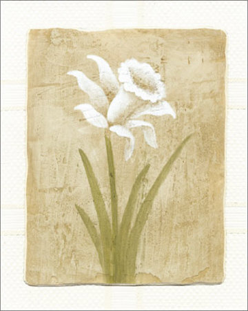 White Flower Print White Flower Print