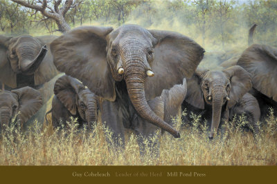 Leader of the Herd Print Leader of the Herd Print
