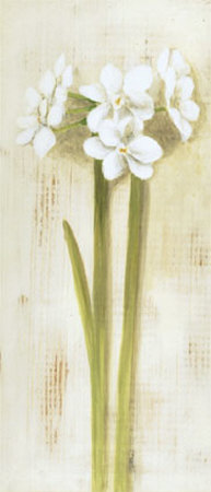 White Flowers Print White Flowers Print