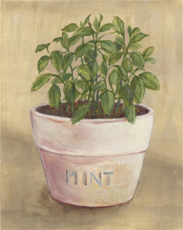 Mint Print Mint Print