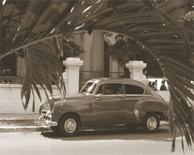 Car and Palm Print Car and Palm Print