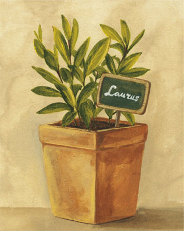Laurus Print Laurus Print