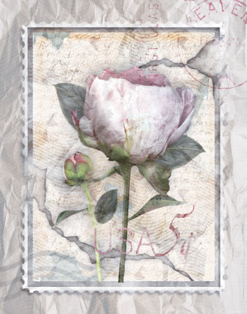 Love Letter Peonies Print Love Letter Peonies Print