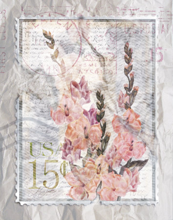 Love Letter Gladioli Print Love Letter Gladioli Print