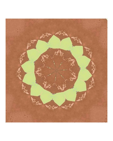 sunlfower mandala Photographic Print sunlfower mandala Photographic Print