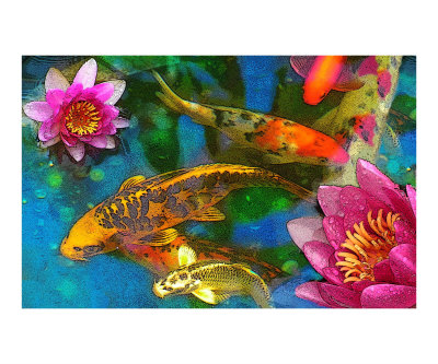 Koi Play Photographic Print Koi Play Photographic Print