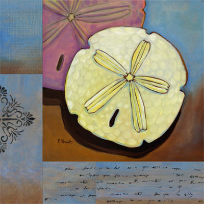 Sanibel Sand Dollar Print Sanibel Sand Dollar Print