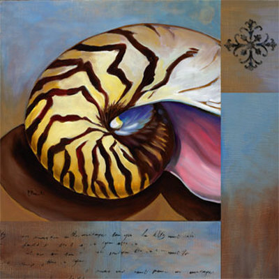 Sanibel Nautilus Print Sanibel Nautilus Print