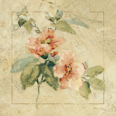 Provence Rose I Print Provence Rose I Print