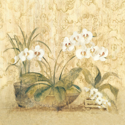 Espirit Orchid Print Espirit Orchid Print
