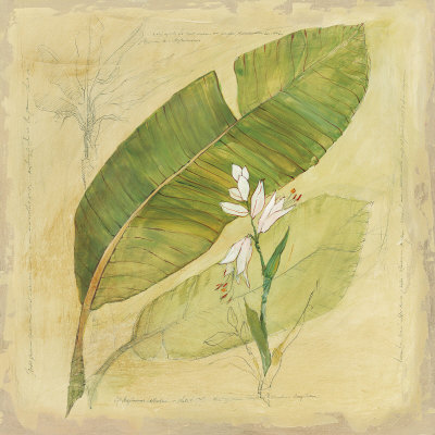 Botanical Study I Print Botanical Study I Print