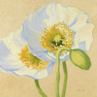 White Poppies III Print White Poppies III Print