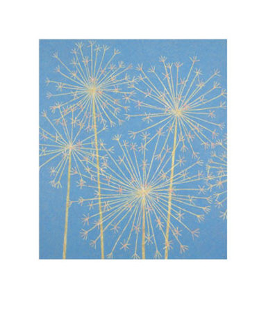 Allium Limited Edition Allium Limited Edition