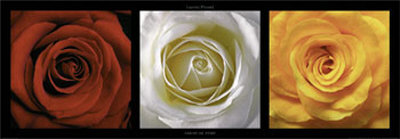 Coeurs de Roses Print Coeurs de Roses Print