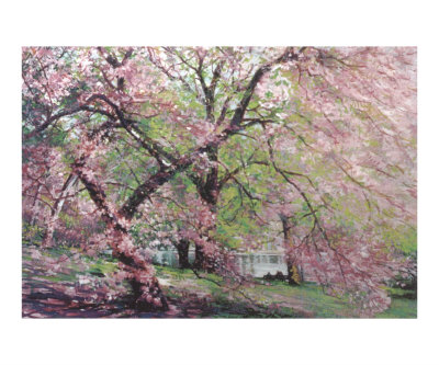 Spring Blossoms Giclee Print Spring Blossoms Giclee Print