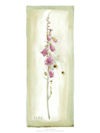 Foxglove Print Foxglove Print