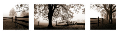 Frosted View Print Frosted View Print
