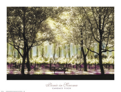 Picnic in Sonoma Print Picnic in Sonoma Print