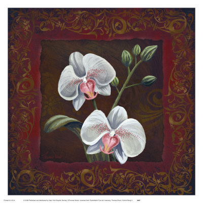 Orchid Study II Print Orchid Study II Print