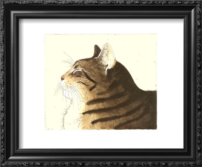 Forty Winks Framed Print Forty Winks Framed Print
