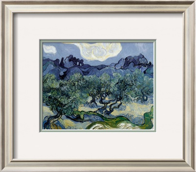 Olive Trees Framed Print Olive Trees Framed Print