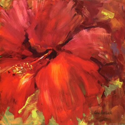 Red Hibiscus II Print Red Hibiscus II Print