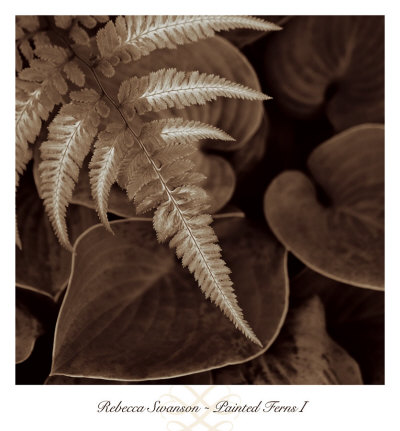 Painted Ferns I Print Painted Ferns I Print